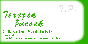 terezia pucsek business card